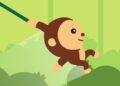 Swing Monkey