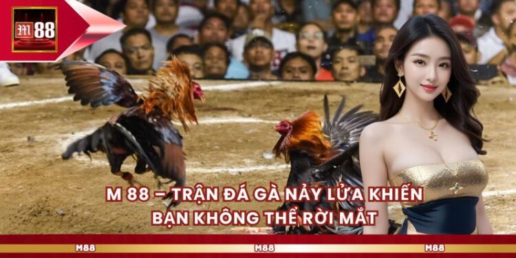 M 88 – Trận Đá Gà Nảy Lửa Khiến Bạn Không Thể Rời Mắt