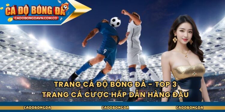 Trang Cá Độ Bóng Đá – Top 3 Trang Cá Cược Hấp Dẫn Hàng Đầu