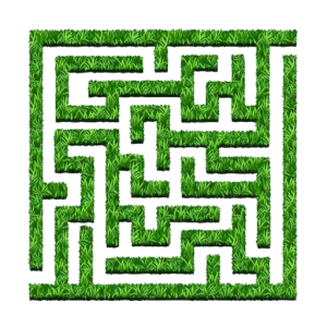 Maze